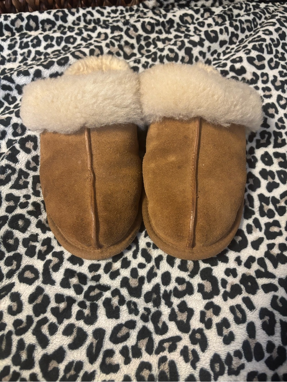 ugg slippers